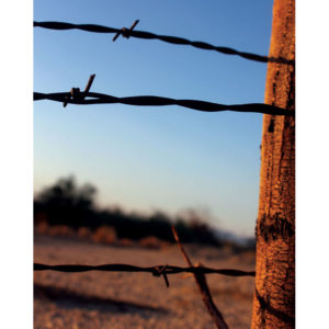 Rustic Decor - Barbed Wire Fence Photograph