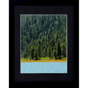 Framed Forest Art