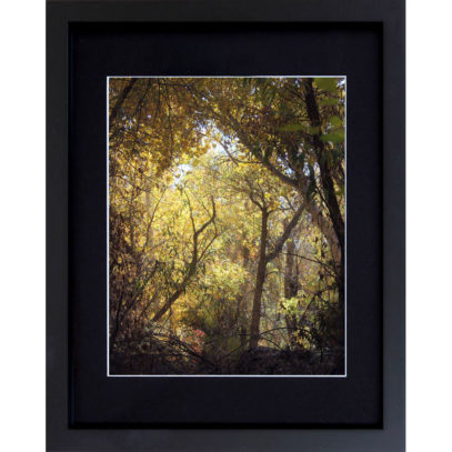 Golden Alcove Framed