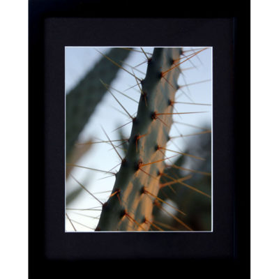 Cactus Print Framed