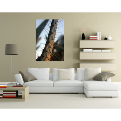 Cactus Wall Art Prints