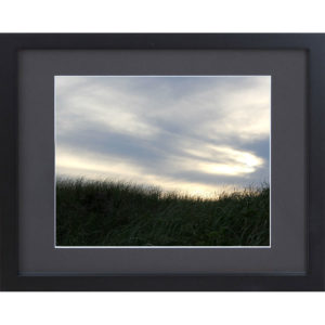 Photograph of Nantucket Grassy Dune Framed