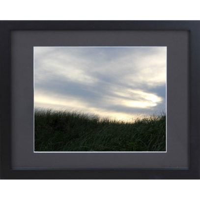 Grassy Dune Framed