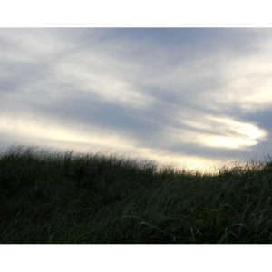 Grassy Dune on Nantucket Photograph