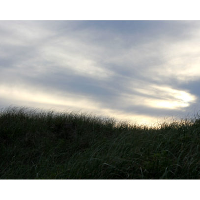 Grassy Dune on Nantucket Photograph