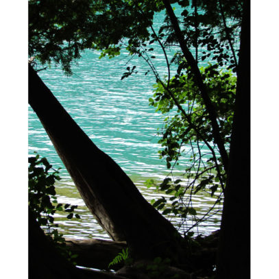 Photogrpahy Lake Art - Green Lake Nook