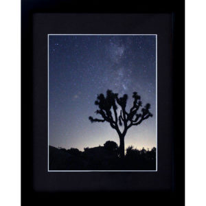 Joshua Tree at Night Framed - Photography