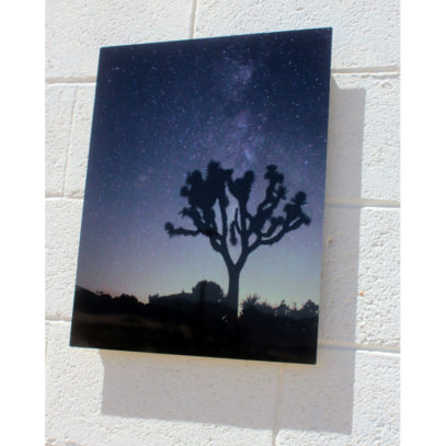 Joshua Tree Wall Art