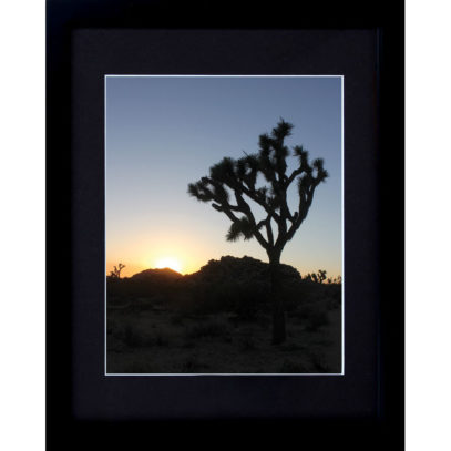 joshua-tree-sunset-8x10-framed