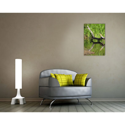 Nature Photography Wall Art