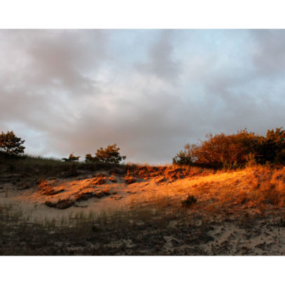 Photography - Cape Cod Wall Art - Sun Dune