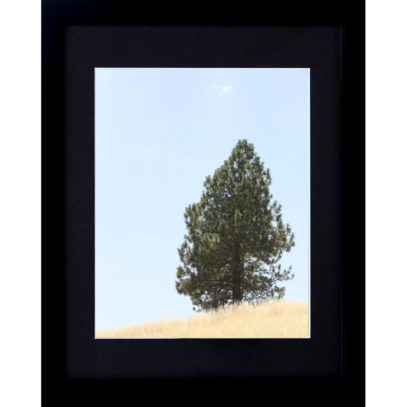 Framed Landscape Photograph - Tree on a Hill