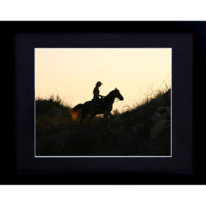 Framed Horse Photography