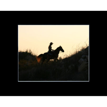 Matted Horse Photography