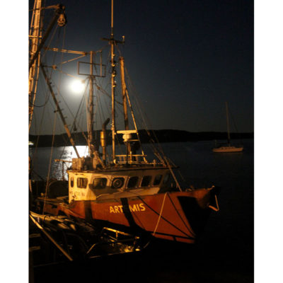 Artemis - Wellfleet Harbor, Cape Cod