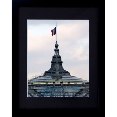 Grand Palais des Champs Elysees - Matted