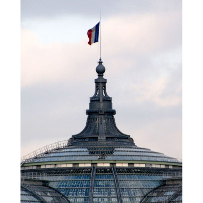 Grand Palais des Champs Elysees