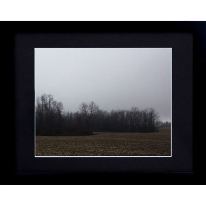 Framed Minimalist Photography - Stand of Trees in a Field