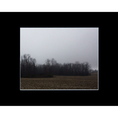 Matted Minimalist Photography - Stand of Trees in a Field