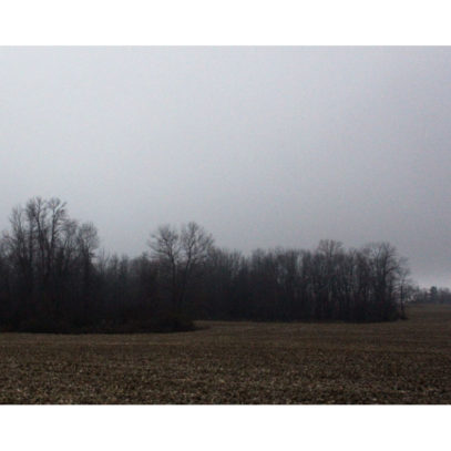 Minimalist Photography - Stand of Trees in a Field