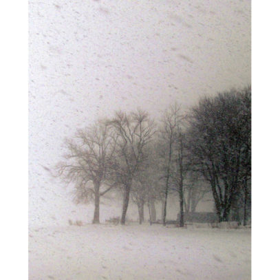 Winter Art - Trees in a Blizzard