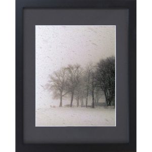 Winter Art - Trees in a Blizzard Framed