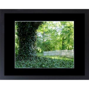 Fence on Hill Street - Framed Green Wall Art