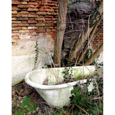 Abandoned Art