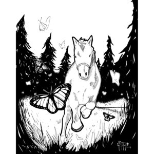 Mariposa